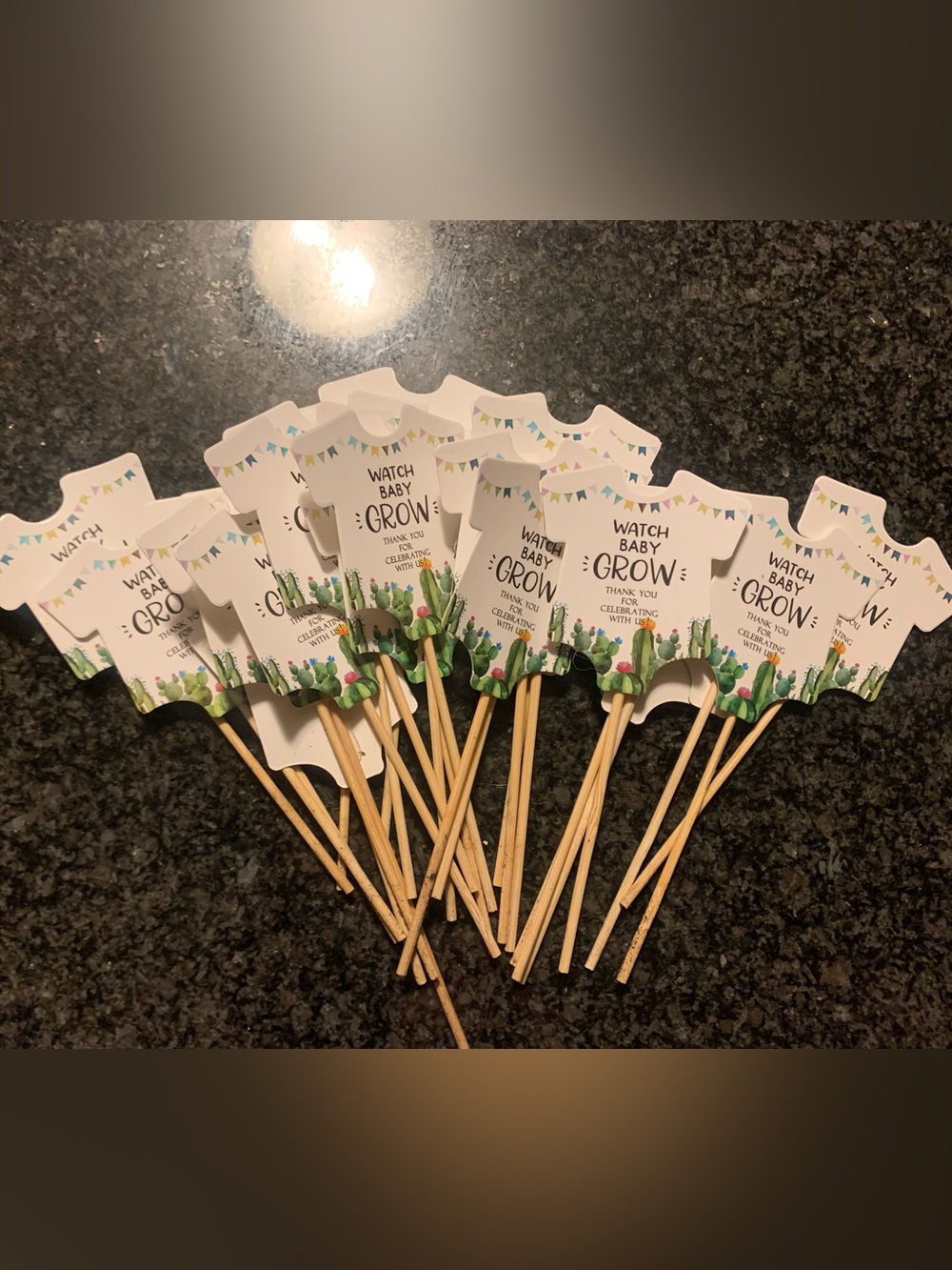 Lot of Baby Shower Decorations! Taco Bout a Baby and Succulent Themed - Picture 11 of 12
